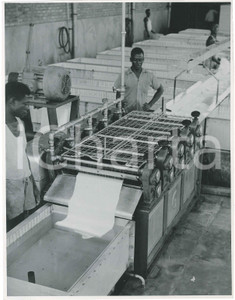 1950 ca CONGO - Indigenous people in a factory *Photo A. FALIZE 20x26 cm  Fotografia originale d'epoca. GOOD/buono  Formato: 20x26 cm originale e autentica 1