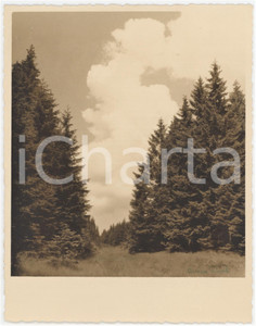 1950 ca BOTRANGE (BELGIQUE) Paysage avant un orage *Photo ArsÃ¨ne FINCK 13x16 cm  Fotografia originale d'epoca, con firma al recto.Didascalia manoscritta al verso. FOTOGRAFO: Ars&egrave;ne Finck - Ensival, Belgique  GOOD/buono  FORMATO: 13x16 cm originale e autentica 1