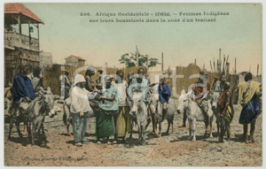 1910 ca SENEGAL Femmes indigènes sur leurs bourricots dans la cour d'un traitant Cartolina postale d'epoca, non viaggiata.CONDIZIONI: GFORMATO: FP    originale e autentica 1