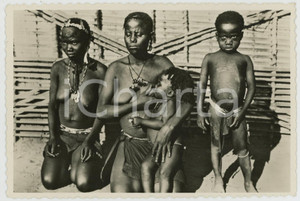 1950ca CONGO BELGE - KWANGO Types d'indigènes Bayaka NU ETHNIQUE Carte postale  Cartolina postale d'epoca, non viaggiata. CONDIZIONI: FAIR FORMATO: FP    originale e autentica 1