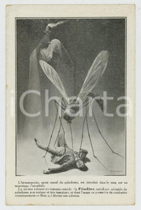 Cartolina originale da collezione 1910 ca FILUDINE mÃ©dicament contre le paludisme  Carte postale ill. A. EHRMANN 1