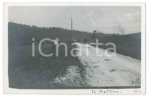 1914 GHIFFA (?) Contadino falcia un prato - Fotografia Raffaele PEDRETTI  Fotografia d'epoca in formato cartolina postale.FOTOGRAFO: Raffaele Pedretti FAIR/discreto Lievi smussature agli angoli Formato: FP originale e autentica 1