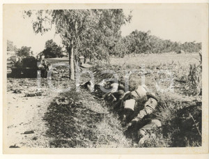 Fotografia d epoca originale 1961 BIZERTE CRISIS Refugees seek shelter from low flying French planes Photo 1