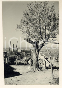 Fotografia d epoca originale 1965 ca TARQUINIA Veduta  Contadini al lavoro  Fotografia 8x11 cm 1