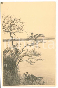 1930 ca C. ZAGOURSKI "Le Congo Illustré" Paysage congolais (3) Postcard 9 x 14  Fotocartolina postale d'epoca, appartenente alla serie &laquo;Le Congo Illustr&eacute;&raquo; del fotografo Casimir Zagourski (L&eacute;opoldville).CONDIZIONI: FAIR (lieve piegature all'angolo inferiore sinistro, piccola sbrecciatura all'angolo superiore destro, piccolo residuo di inchiostro all'angolo superiore sinistro)FORMATO: 9x14 cm    originale e autentica 1