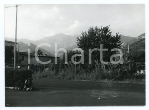 Fotografia d epoca originale 1981 PIETRASANTA  PONTEROSSO Monte Altissimo e Via Aurelia  Foto 17x13 cm 1