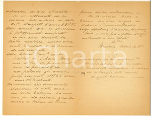 1913 BOVEGNO Lettera Vittorio BRENTANA su visita S. Carlo Borromeo *Autografo Lettera autografa del cav. Vittorio Brentana, medico veterinario e cultore di storia locale, relativa alla documentazione esistente su una visita pastorale di S. Carlo Borromeo del 1580.PAGINE: 8 (3 bianche) FAIR/discreto piegature d'epoca Formato: 14x21 cm originale e autentica 1