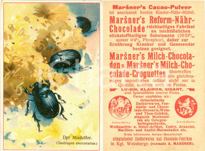 Materiale pubblicitario d’epoca 1940 ca MARSNER S CACAOPULVER Figurina pubblicitaria ILLUSTRATA 1