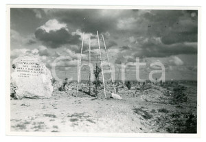 1932 BENGASI Rimboschimento nella zona del LETE Foto 17x11 cm Fotografia originale d'epoca, con didascalia al verso.FOTOGRAFO: Studio fotografico Dinami - Bengasi FAIR/discreto Difetti di stampa Formato: 17x11 cm originale e autentica 1