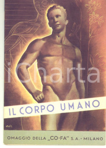 Materiale pubblicitario d’epoca 1940 MILANO COFA Il corpo umano Pieghevole pubblicitario ill. POMI 1