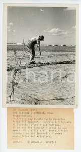1941 LIBIA - CIRENAICA Colono italiano semina dopo un attacco inglese - Foto Fotografia originale d'epoca, con timbro datario al verso e didascalia. POOR/danneggiato Piegature agli angoli, graffi sulla superficie della foto Formato: 13x18  cm originale e autentica 1