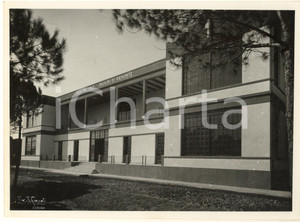 1934 ARCHITETTURA FASCISMO - CATANIA Casa del Sole preventorio antiturbecolare Fotografia originale d'epoca, con timbro datario e didascalia manoscritta al verso.E' ritratta la facciata della "Casa del Sole - Principi di Piemonte".FOTOGRAFO: S. Consoli - Catania GOOD/buono  Formato: 24x18 cm originale e autentica 1