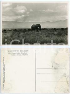 1930 C. ZAGOURSKI «L'Afrique qui disparaît» CONGO BELGE - Eléphant *n°180  Fotocartolina postale d'epoca, appartenente alla 2^serie «L'Afrique qui disparaît» del fotografo Casimir Zagourski (Léopoldville).N°180, non viaggiata. FAIR/discreto macchie al verso Formato: 14x9 cm originale e autentica 1