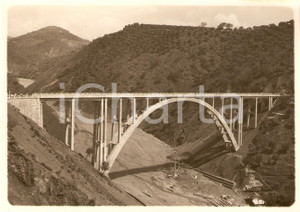 Fotografia d'epoca originale 1935 circa CATANZARO Viadotto sul torrente MUSOFALO *Foto 1