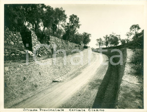 Fotografia d epoca originale 1932 CERIALE SV Strada Provinciale per CISANO SUL NEVA Fotografia 2 1