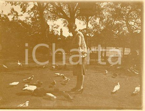 1925 ca BUENOS AIRES - Donna con colombi in un parco - Fotografia 12x9 cm Fotografia originale d'epoca.La fotografia proviene da un più vasto album che documenta i viaggi di una famiglia attraverso l'Europa, il Nord Africa e il Sud America.Rappresenta un'interessante testimonianza di viaggi verso luoghi esotici e lontani o verso i principali monumenti dell'Europa dell'epoca. GOOD/buono  Formato: 12x9 cm originale e autentica 1