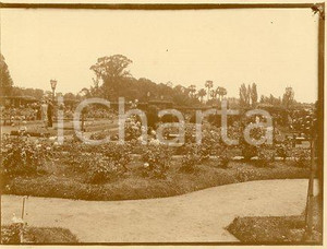 1925 ca BUENOS AIRES ARGENTINA Paseo el Rosedal (3) - Foto 12x9 cm Fotografia originale d'epoca.La fotografia proviene da un più vasto album che documenta i viaggi di una famiglia attraverso l'Europa, il Nord Africa e il Sud America. Rappresenta un'interessante testimonianza di viaggi verso luoghi esotici e lontani o verso i principali monumenti dell'Europa dell'epoca. GOOD/buono  Formato: 11x9 cm originale e autentica 1