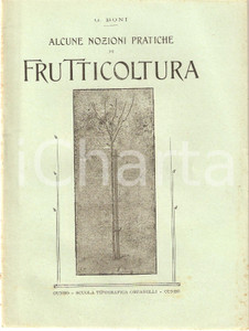 Libro, pubblicazione d epoca 1918 Giglio BONI NOZIONI DI FRUTTICOLTURA Inserto AGRICOLTURA SUBALPINA 5 1