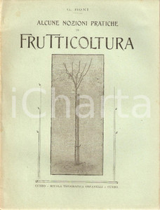 Libro, pubblicazione d epoca 1918 Giglio BONI NOZIONI DI FRUTTICOLTURA Inserto AGRICOLTURA SUBALPINA 2 1