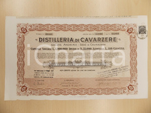 Oggetto da collezione cartaceo 1926 S. A. DISTILLERIA DI CAVARZERE Certificato azionario al portatore 2 1