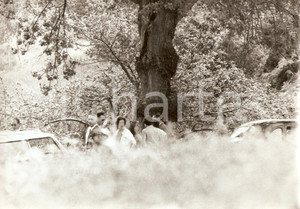 Fotografia d epoca originale 1960 ca ZARAUTZ Re BALDOVINO Fabiola del BELGIO nella tenuta estiva FOTO 5 1