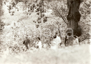 Fotografia d epoca originale 1960 ca ZARAUTZ Re BALDOVINO Fabiola del BELGIO nella tenuta estiva FOTO 2 1