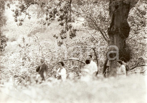Fotografia d epoca originale 1960 ca ZARAUTZ Re BALDOVINO Fabiola del BELGIO nella tenuta estiva FOTO 4 1