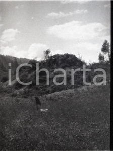 1915ca WW1 ESERCITO ITALIANO Cannone mimetizzato NEGATIVO FOTOGRAFICO   Negativo originale in bianco e nero (su pellicola), in formato cm 6 x 4 CONDIZIONI: FAIR (rozzamente rifilato) ICharta mette in vendita, sul negozio eBay e in esclusiva sul sito "icharta" il proprio archivio composto da numerose diapositive e negativi fotografici d'epoca, tutti originali e autentici, che attraversano la storia del costume italiano tra gli la fine degli anni Sessanta e Novanta.Si tratta di uno sguardo inedito sull'attualit&agrave;, la politica, la vita quotidiana, il gossip e la cultura, che fotografa il cambiamento della nazione in quest'ultimo scorcio del XX secolo. Un'occasione unica per il mercato del collezionismo, che vede finalmente disponibile un archivio eccezionale per vastit&agrave;, tematiche e condizioni, in un settore (il negativo fotografico e la diapositiva) di assoluta novit&agrave; e dalle interessanti prospettive di investimento. FAIR/discreto   originale e autentica 1