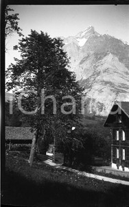1932 SVIZZERA WENGEN Paesaggio e il monte Jungfrau (1) NEGATIVO ORIGINALE  Negativo originale in bianco e nero (su pellicola), in formato cm 6 x 9 CONDIZIONI: FAIR ICharta mette in vendita, sul negozio eBay e in esclusiva sul sito "icharta" il proprio archivio composto da numerose diapositive e negativi fotografici d'epoca, tutti originali e autentici, che attraversano la storia del costume italiano tra gli la fine degli anni Sessanta e Novanta.Si tratta di uno sguardo inedito sull'attualità, la politica, la vita quotidiana, il gossip e la cultura, che fotografa il cambiamento della nazione in quest'ultimo scorcio del XX secolo. Un'occasione unica per il mercato del collezionismo, che vede finalmente disponibile un archivio eccezionale per vastità, tematiche e condizioni, in un settore (il negativo fotografico e la diapositiva) di assoluta novità e dalle interessanti prospettive di investimento. FAIR/discreto   originale e autentica 1