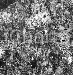 1964 ODENO Val Sabbia (BS) bosco innevato NEGATIVO ORIGINALE Negativo originale in bianco e nero su pellicola.  E' SEVERAMENTE VIETATA LA RIPRODUZIONE.TUTTI I DIRITTI SONO RISERVATI.ICharta mette in vendita, sul negozio eBay e in esclusiva sul sito "icharta" il proprio archivio composto da numerose diapositive e negativi fotografici d'epoca, tutti originali e autentici.Si tratta di uno sguardo inedito sull'attualità, la politica, la vita quotidiana, il gossip e la cultura, che fotografa il cambiamento della nazione (e non solo) tra il 1890 ed il 1990 circa. Un'occasione unica per il mercato del collezionismo, che vede finalmente disponibile un archivio eccezionale per vastità, tematiche e condizioni, in un settore (il negativo fotografico e la diapositiva) di assoluta novità e dalle interessanti prospettive di investimento. CONDIZIONI:FAIR/discretoFORMATO: cm 6 x 6 originale e autentica 1