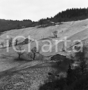 1964 NAVONO Val Sabbia BS prima neve sui declivi e le cascine NEGATIVO ORIGINALE Negativo originale in bianco e nero su pellicola.  E' SEVERAMENTE VIETATA LA RIPRODUZIONE.TUTTI I DIRITTI SONO RISERVATI.ICharta mette in vendita, sul negozio eBay e in esclusiva sul sito "icharta" il proprio archivio composto da numerose diapositive e negativi fotografici d'epoca, tutti originali e autentici.Si tratta di uno sguardo inedito sull'attualità, la politica, la vita quotidiana, il gossip e la cultura, che fotografa il cambiamento della nazione (e non solo) tra il 1890 ed il 1990 circa. Un'occasione unica per il mercato del collezionismo, che vede finalmente disponibile un archivio eccezionale per vastità, tematiche e condizioni, in un settore (il negativo fotografico e la diapositiva) di assoluta novità e dalle interessanti prospettive di investimento. CONDIZIONI:FAIR/discretoFORMATO: cm 6 x 6 originale e autentica 1