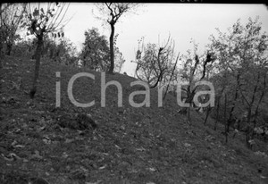 BIONE Val Sabbia La frana di novembre 1951 (1) NEGATIVO ORIGINALE Negativo originale in bianco e nero su pellicola.  E' SEVERAMENTE VIETATA LA RIPRODUZIONE.TUTTI I DIRITTI SONO RISERVATI.ICharta mette in vendita, sul negozio eBay e in esclusiva sul sito "icharta" il proprio archivio composto da numerose diapositive e negativi fotografici d'epoca, tutti originali e autentici.Si tratta di uno sguardo inedito sull'attualità, la politica, la vita quotidiana, il gossip e la cultura, che fotografa il cambiamento della nazione (e non solo) tra il 1890 ed il 1990 circa. Un'occasione unica per il mercato del collezionismo, che vede finalmente disponibile un archivio eccezionale per vastità, tematiche e condizioni, in un settore (il negativo fotografico e la diapositiva) di assoluta novità e dalle interessanti prospettive di investimento. CONDIZIONI:FAIR/discretoFORMATO: cm 9 x 6 originale e autentica 1