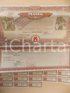 Oggetto da collezione cartaceo 1961 MILANO MOTTA dolciaria ed alimentare Titolo 25 azioni con cedole 1 1