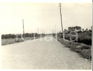 Fotografia d epoca originale 1950 ca SUARDI PV Una strada nelle campagne Foto artistica 23x18 cm 3 1