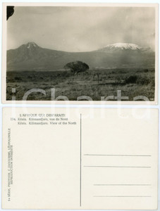 1930 C. ZAGOURSKI «L'Afrique qui disparaît» KENIA Kilimandjaro vue du Nord *174  Fotocartolina postale d'epoca, appartenente alla 2^serie &laquo;L'Afrique qui dispara&icirc;t&raquo; del fotografo Casimir Zagourski (L&eacute;opoldville).N&deg;174, non viaggiata.CONDIZIONI: G FORMATO: 14x9 cm     originale e autentica 1