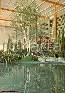 Cartolina originale da collezione 1976 GENOVA Fiera EUROFLORA Esposizione fiori Betulla ANIMATA Cartolina 2 1