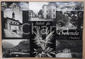 1955 ca TEGLIO Frazione TRESENDA Vedutine - Bozzetto preparatorio cartolina Bozzetto preparatorio per cartolina postale.Collage su cartoncino pressato.  FAIR/discreto Smussature agli angoli, residui di incollatura FORMATO: 45x32 cm originale e autentica 1