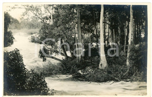 1930 ca CONGO BELGE KATANGA Rivière LUFVIA - SOGEFOR *Photo L. GABRIEL 82 Fotografia originale d'epoca, in formato cartolina postale.FOTOGRAFO: L&eacute;opold Gabriel - Panda - Katanga   GOOD/buono ma ingiallimenti al verso FORMATO: 14x9 cm originale e autentica 1