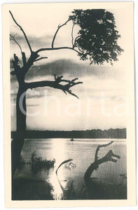1930 C. ZAGOURSKI «L'Afrique qui disparaît» Paysage congolais - Postcard n°216  Fotocartolina postale d'epoca, appartenente alla serie &laquo;L'Afrique qui dispara&icirc;t&raquo; del fotografo Casimir Zagourski (L&eacute;opoldville).N&deg;216, non viaggiata.Al verso timbro: "Henri Nicaise Photographe - Namur"CONDIZIONI: G (lieve piegatura all'angolo superiore destro)FORMATO: 14x9 cm      originale e autentica 1
