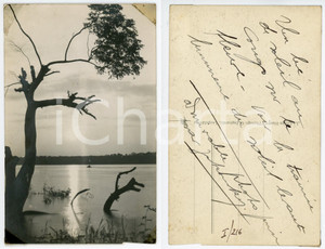 1930 C. ZAGOURSKI «L'Afrique qui disparaît» Paysage congolais - Postcard 216  Fotocartolina postale d'epoca, appartenente alla serie &laquo;L'Afrique qui dispara&icirc;t&raquo; del fotografo Casimir Zagourski (L&eacute;opoldville).N&deg;216. non viaggiata.CONDIZIONI: FAIR FORMATO: 14x9 cm     originale e autentica 1