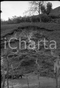 nov 1951 BIONE Val Sabbia (BS) frana del terreno NEGATIVO ORIGINALE_ Negativo originale in bianco e nero su pellicola.  E' SEVERAMENTE VIETATA LA RIPRODUZIONE.TUTTI I DIRITTI SONO RISERVATI.ICharta mette in vendita, sul negozio eBay e in esclusiva sul sito "icharta" il proprio archivio composto da numerose diapositive e negativi fotografici d'epoca, tutti originali e autentici.Si tratta di uno sguardo inedito sull'attualità, la politica, la vita quotidiana, il gossip e la cultura, che fotografa il cambiamento della nazione (e non solo) tra il 1890 ed il 1990 circa. Un'occasione unica per il mercato del collezionismo, che vede finalmente disponibile un archivio eccezionale per vastità, tematiche e condizioni, in un settore (il negativo fotografico e la diapositiva) di assoluta novità e dalle interessanti prospettive di investimento. CONDIZIONI:FAIR/discretoFORMATO: cm 6 x 9 originale e autentica 1