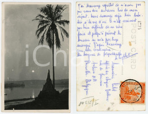 1930 C. ZAGOURSKI «L'Afrique qui disparaît» Paysage congolais - Postcard n.213  Fotocartolina postale d'epoca, appartenente alla serie &laquo;L'Afrique qui dispara&icirc;t&raquo; del fotografo Casimir Zagourski (L&eacute;opoldville).N&deg;213, viaggiata.CONDIZIONI: POOR (bassa qualit&agrave; di stampa, piccolo strappo al margine inferiore)FORMATO: 14x9 cm     originale e autentica 1