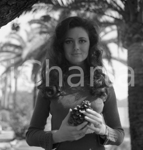 1971 SANREMO Gigliola CINQUETTI Parco del casino NEGATIVO ORIGINALE 1 Con la canzone "Rose nel buio"Negativo originale in bianco e nero su pellicola.  E' SEVERAMENTE VIETATA LA RIPRODUZIONE.TUTTI I DIRITTI SONO RISERVATI.ICharta mette in vendita, sul negozio eBay e in esclusiva sul sito "icharta" il proprio archivio composto da numerose diapositive e negativi fotografici d'epoca, tutti originali e autentici.Si tratta di uno sguardo inedito sull'attualità, la politica, la vita quotidiana, il gossip e la cultura, che fotografa il cambiamento della nazione (e non solo) tra il 1890 ed il 1990 circa. Un'occasione unica per il mercato del collezionismo, che vede finalmente disponibile un archivio eccezionale per vastità, tematiche e condizioni, in un settore (il negativo fotografico e la diapositiva) di assoluta novità e dalle interessanti prospettive di investimento. CONDIZIONI:FAIR/discretoFORMATO: cm 6 x 6 originale e autentica 1