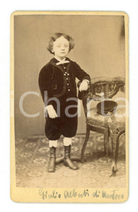 Fotografia d epoca originale 1890 ca MANTOVA Ritratto di Giulio ALBERTI Ritratto CDV Foto Andrea PREMI 1