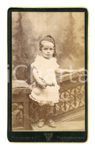 Fotografia d epoca originale 1880 ca BOMBAY INDIA Bambino con pupazzo  Foto P. VUCCINO CDV RARA 1