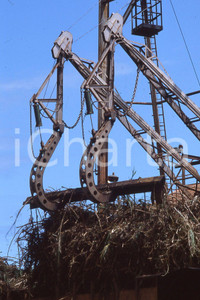 1985 LEE BALTERMAN  Kawai Hawaii Sugar cane *VINTAGE SLIDE Diapositiva originale, in formato 35 mm.Per i diritti rivolgersi a ICharta.ICharta mette in vendita, sul negozio eBay e in esclusiva sul sito "icharta" il proprio archivio composto da numerose diapositive e negativi fotografici d'epoca, tutti originali e autentici.Si tratta di uno sguardo inedito sull'attualità, la politica, la vita quotidiana, il gossip e la cultura, che fotografa il cambiamento della nazione (e non solo) tra il 1890 ed il 1990 circa. Un'occasione unica per il mercato del collezionismo, che vede finalmente disponibile un archivio eccezionale per vastità, tematiche e condizioni, in un settore (il negativo fotografico e la diapositiva) di assoluta novità e dalle interessanti prospettive di investimento. CONDIZIONI:FAIR/discretoFORMATO: 35mm originale e autentica 1