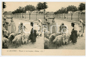 1910 ca ALGERIE - AFRIQUE Berger et son troupeau à BATNA Carte postale FP NV Cartolina d'epoca, non viaggiata. CONDIZIONI:GOOD/buonoFORMATO: 14x8 cm originale e autentica 1