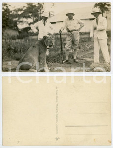 1930 ca C. ZAGOURSKI «Le Congo Illustré» Cacciatori con leone *Postcard  Fotocartolina postale originale d'epoca, appartenente alla serie «Le Congo illustré» del fotografo Casimir Zagourski (Léopoldville). CONDIZIONI:FAIR/discreto lievi graffiFORMATO: 9x14 cm originale e autentica 1