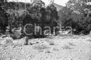 Fotografia d epoca originale 1920? AFRICA HAMPTON WILDMAN PARKER S EXPEDITION Negativo originale 5 1