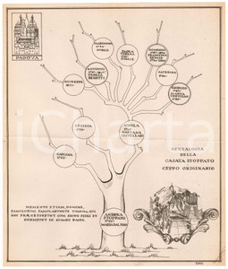 Stampa, bozzetto originale 1970 ca PADOVA Famiglia STOPPATO  Albero genealogico ceppo originario 1